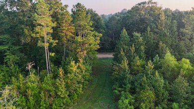 254 Putnam Rd unit LotWP001, Pickens, MS 39146 - photo 3