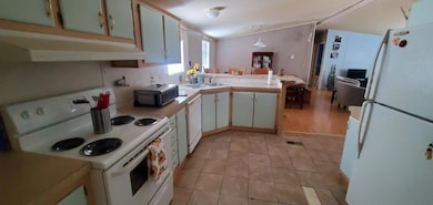kitchen view 2