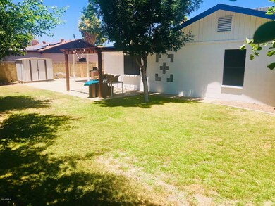 Backyard 2