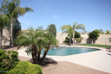 Swimming Pool Party