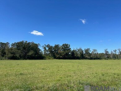 01 Old Highway 51, Amite, LA 70422 - photo 7