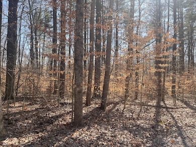 6630 E Rust Rd, Unionville, IN 47468 - photo 5