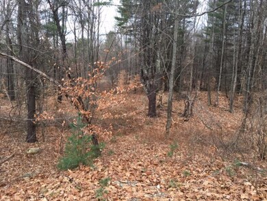 0 Silver St unit 4464070, Milton, NH 03851 - photo 4