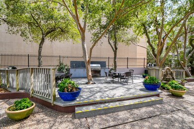 Summer kitchen grill area & courtyard just out bac