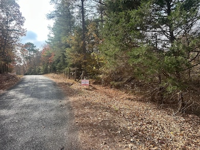 Pine Lake Dr, Batesville, MS 38606 - photo 3