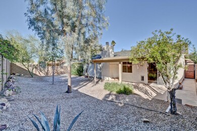 Low Maintenance Backyard