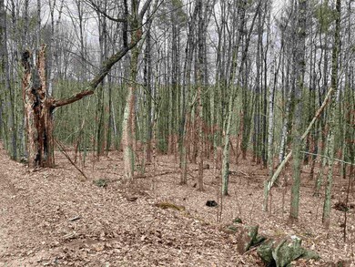 0 Turkey Shoot Rd unit 4906923, Acworth, NH 03601 - photo 4