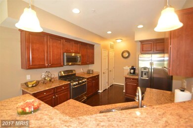 25216 Briargate Terrace, Chantilly, VA 20152 - photo 5