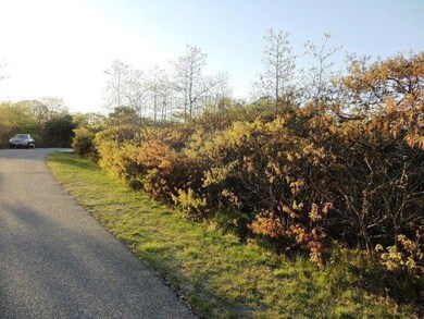 13 Pulpit Ln, Edgartown, MA 02539 - photo 7