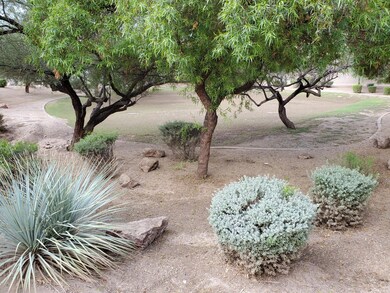 Lots of Walking Areas