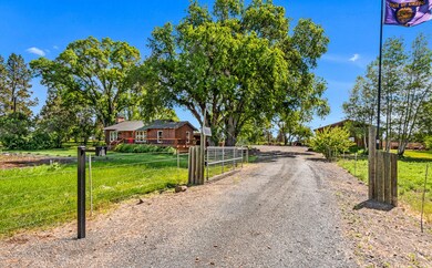 OReilly_20240617_64_82082_72ppi