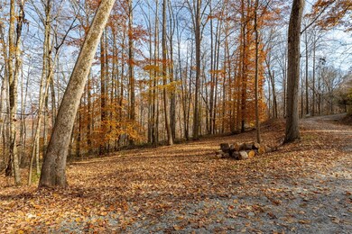 107 Vistawilla Dr, Glenville, NC 28736 - photo 4