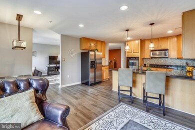 4800 Coyle Rd unit 410, Owings Mills, MD 21117 - photo 6