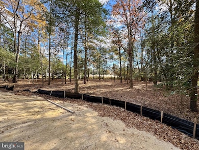 17 N Heron Dr, Lewes, DE 19958 - photo 6