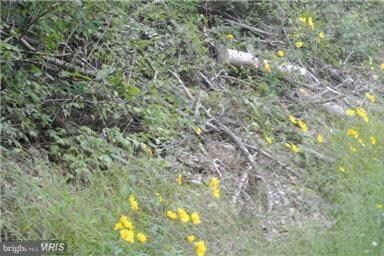 0 Rockcliff Dr unit 1000323744, Berkeley Springs, WV 25411 - photo 3