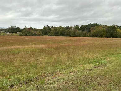 3637 Round Spring Rd, Clinton, AR 72031 - photo 5