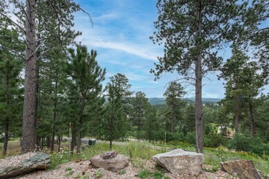 102 Heritage Ave, Lead, SD 57754 - photo 6