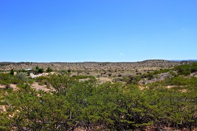 IMG_1061