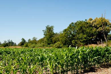 0 Clearbrook Rd, Sumas, WA 98295 - photo 3