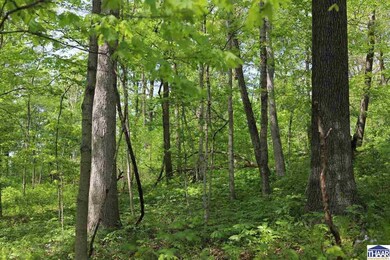 2467 W Hibbs Rd, Kingman, IN 47952 - photo 5