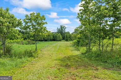 0 Creekview Dr unit 10545628, Madison, GA 30650 - photo 2