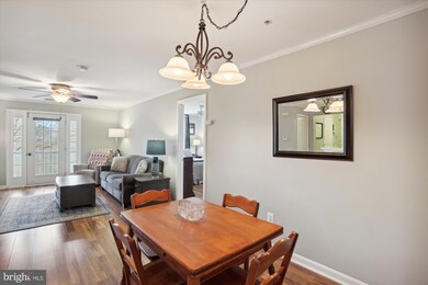 18801 Sparkling Water Dr unit 8/203, Germantown, MD 20874 - photo 7