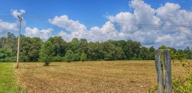 0 Fredonia Rd unit RTC1963611, Manchester, TN 37355 - photo 2