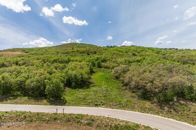 003_2378wsonderwaylote-33-23_234