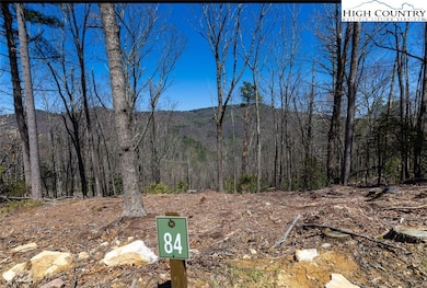 84 Wilderness Reserve Pkwy, Deep Gap, NC 28618 - photo 2