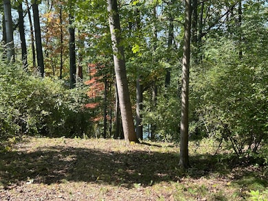 8601 N Island Dr unit 41, Canadian Lakes, MI 49346 - photo 6