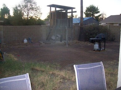 back yard