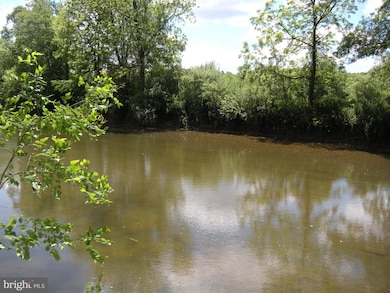 49 Tinderbox Ln, Winchester, VA 22603 - photo 6