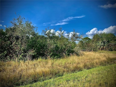 9429 Spring Cir, South Gulf Cove, FL 33981 - photo 3