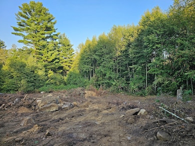 00 N Brook Rd, Hampton, CT 06247 - photo 6