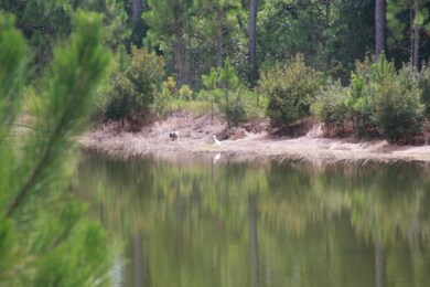 Pond3 behind LOT 13C