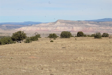 TRACT 5-C La Joya - Nm 96, Youngsville, NM 87604 - photo 5