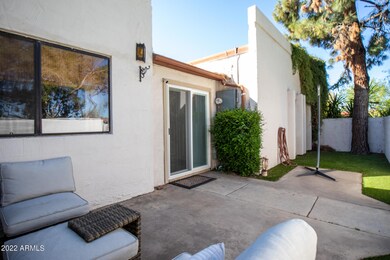 Back patio w/ turf