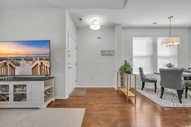 Entryway featuring dark hardwood / wood-style floo