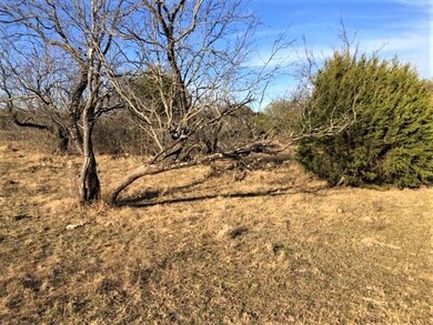 L7BA Floyd Ct, Weatherford, TX 76087 - photo 3