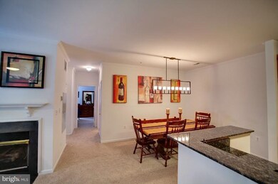 1516 N Point Dr unit 203, Reston, VA 20194 - photo 6