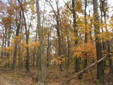 A mixture of yellow, orange and red provide a pict