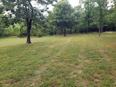 111 Summer Rd, Ruth B Rural Township, MO 65686 - photo 4