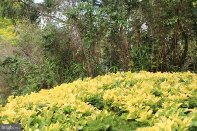 5869 Blaine Dr, Alexandria, VA 22303 - photo 3