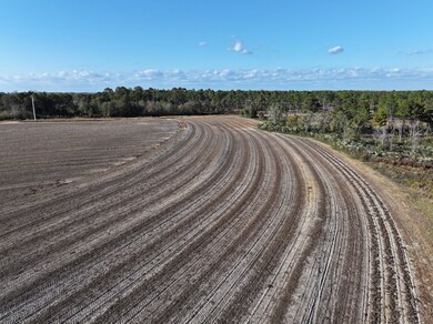 963 Vinson Rd, Meigs, GA 31765 - photo 6