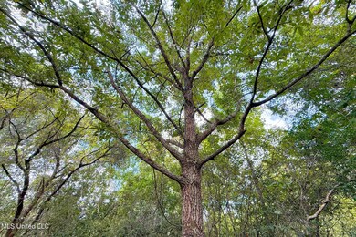 8405 Wire Rd, Ocean Springs, MS 39565 - photo 4
