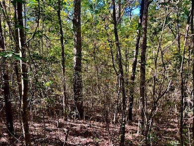 0 Old Salt Rd unit LotWP001, Sumrall, MS 39482 - photo 3