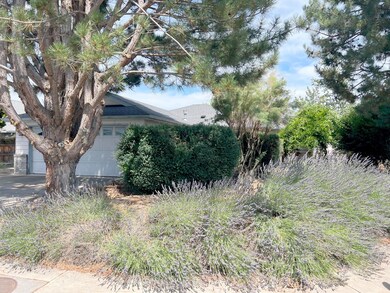 1258LookingGlass-F12
