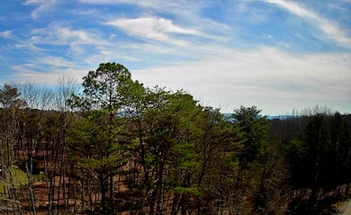 IMG_20250223_1300000
