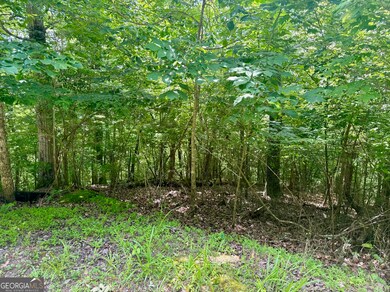 View of lot #1010
