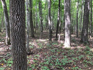 Timber